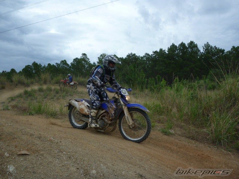 Photo 2337399