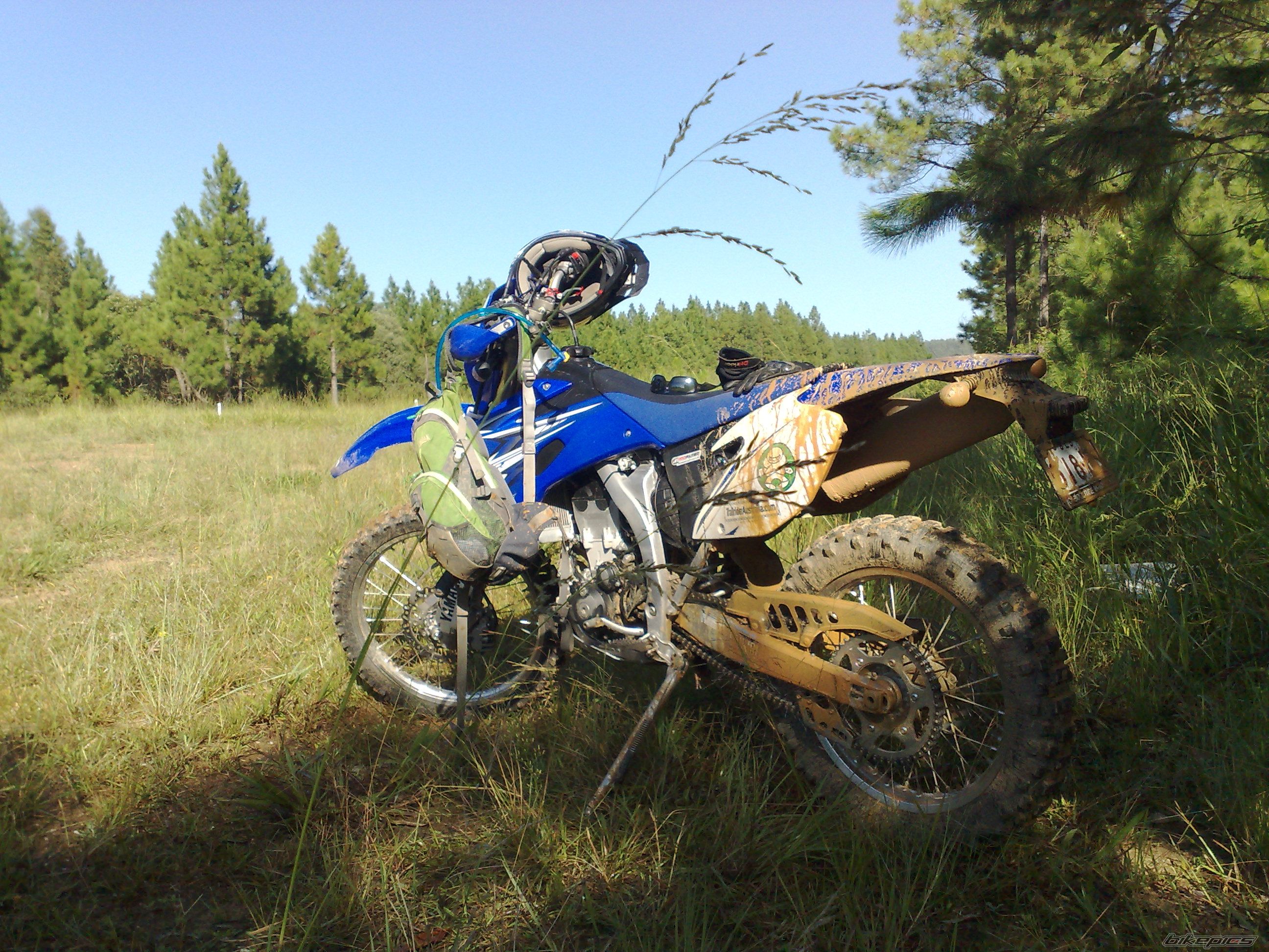 Photo 2337401