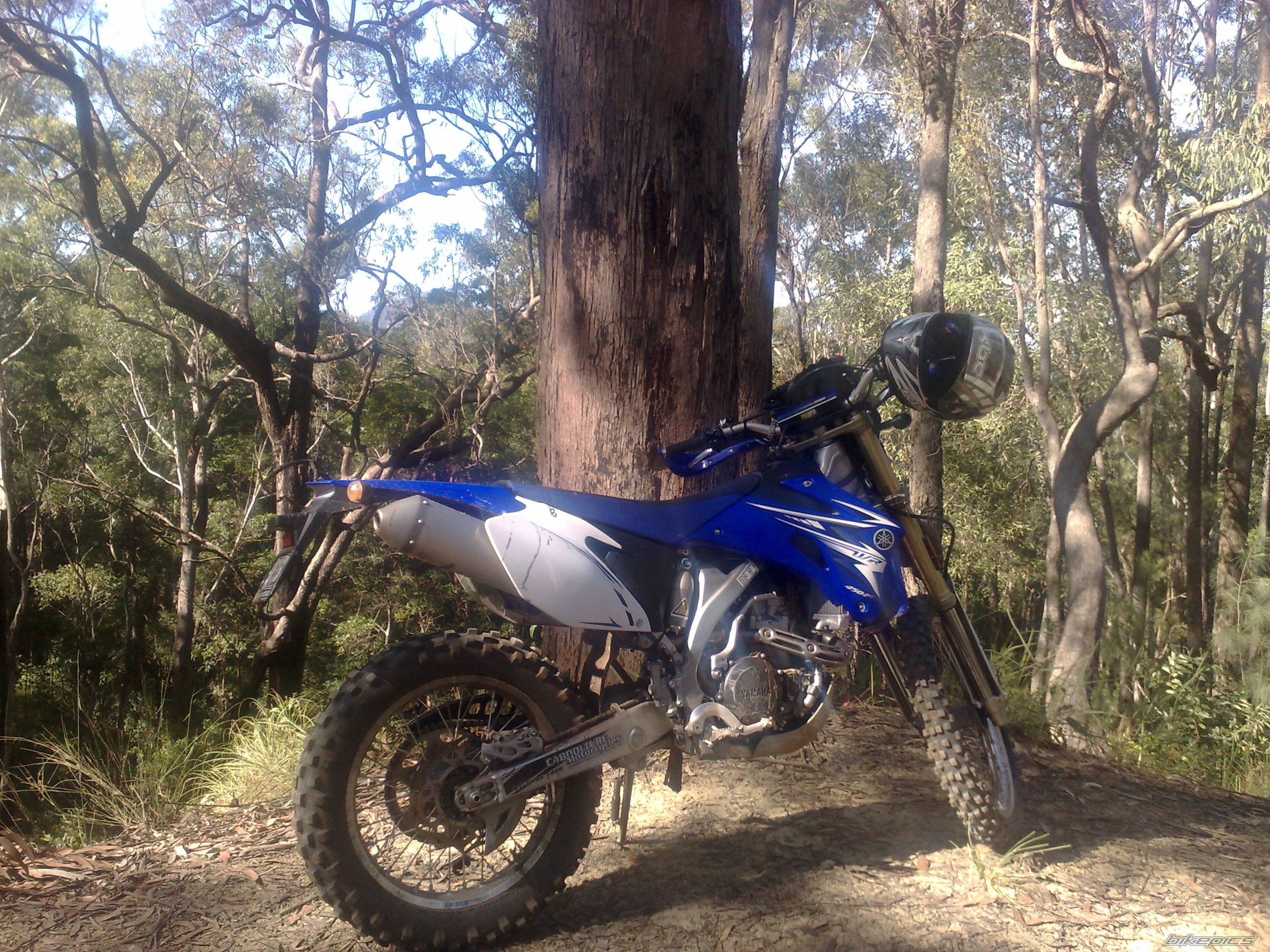Photo 2337404