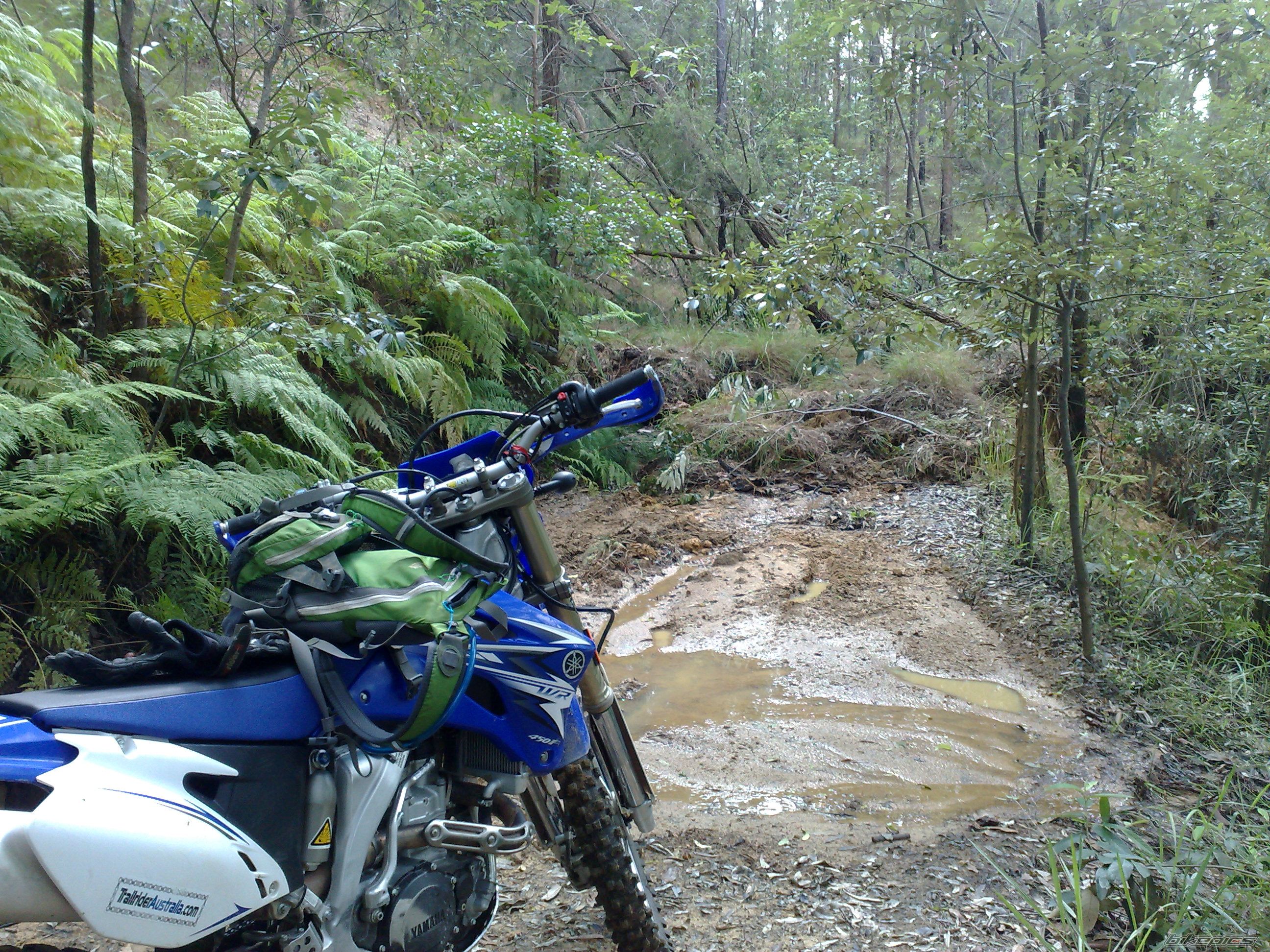 Photo 2337405