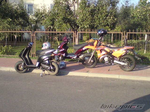 Photo 2337491