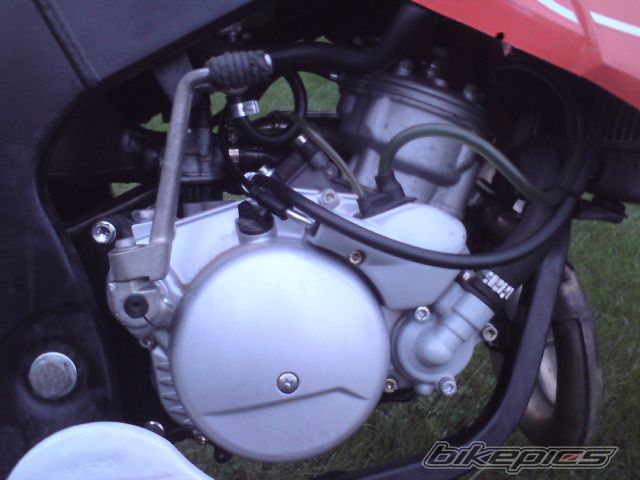 Photo 2337493