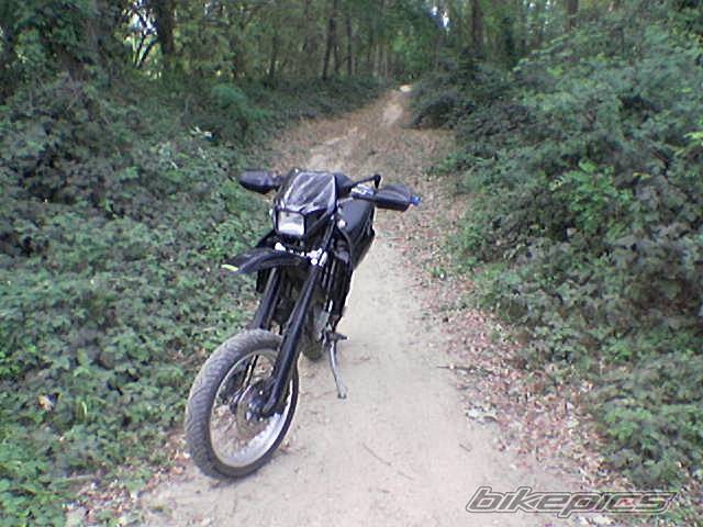Bike Photo 233751
