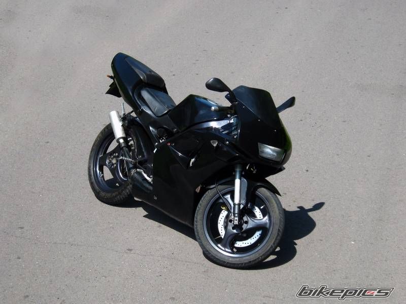 Photo 2337529