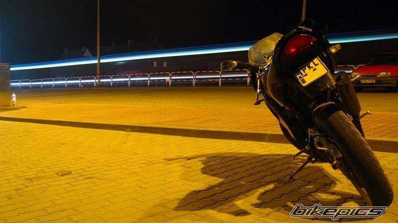 Photo 2337533