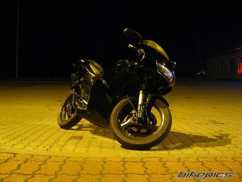 Photo 2337535