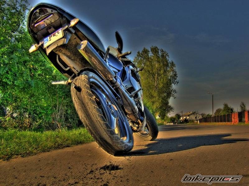 Photo 2337536