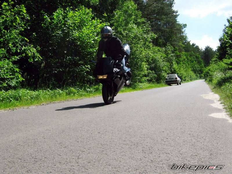 Photo 2337542