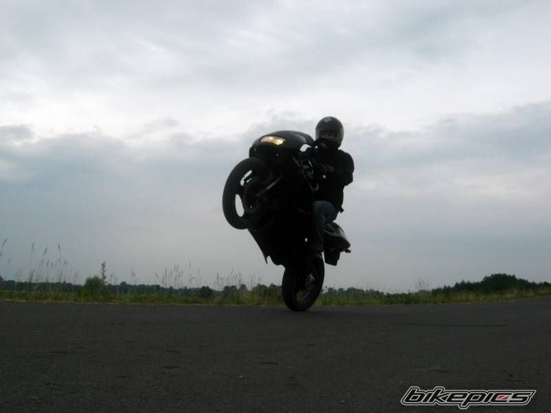 Photo 2337546