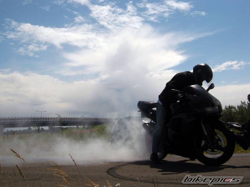 Photo 2337563