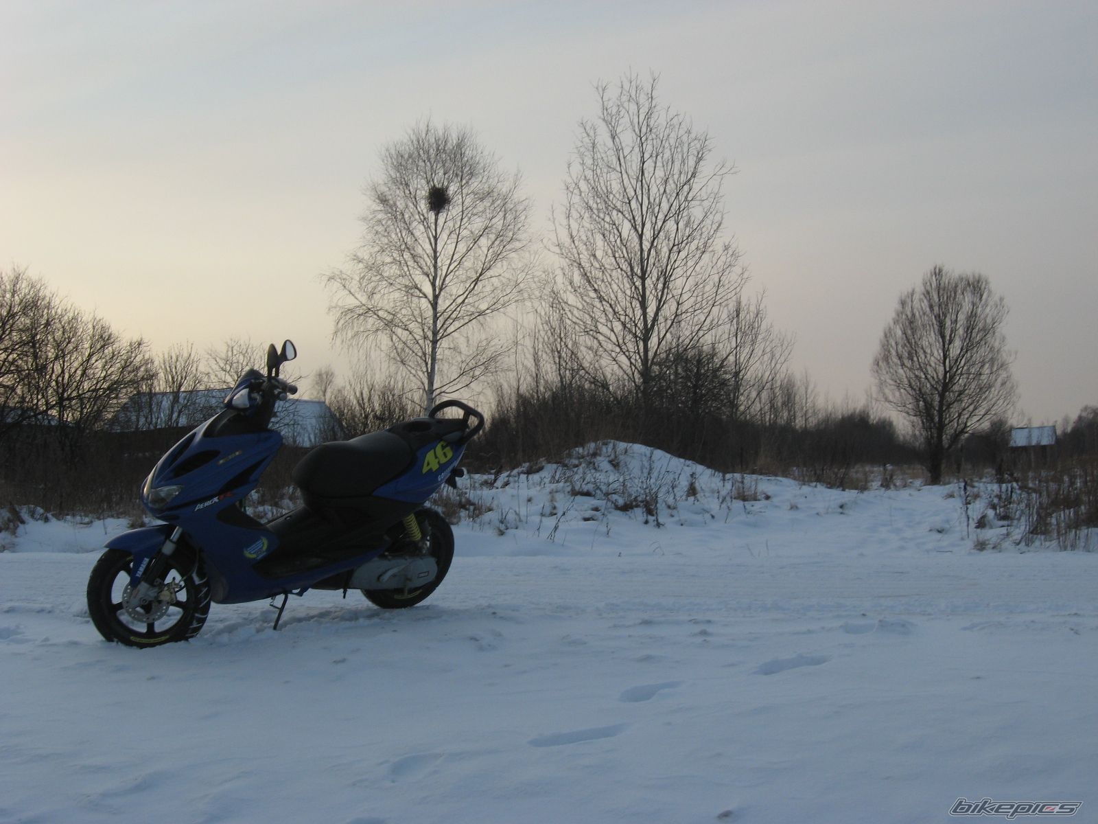 Photo 2337582