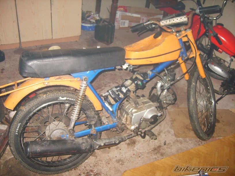Photo 2337588