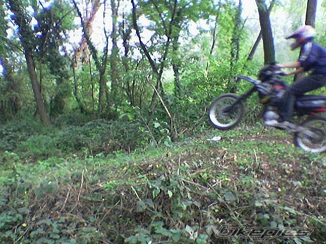 Bike Photo 233760