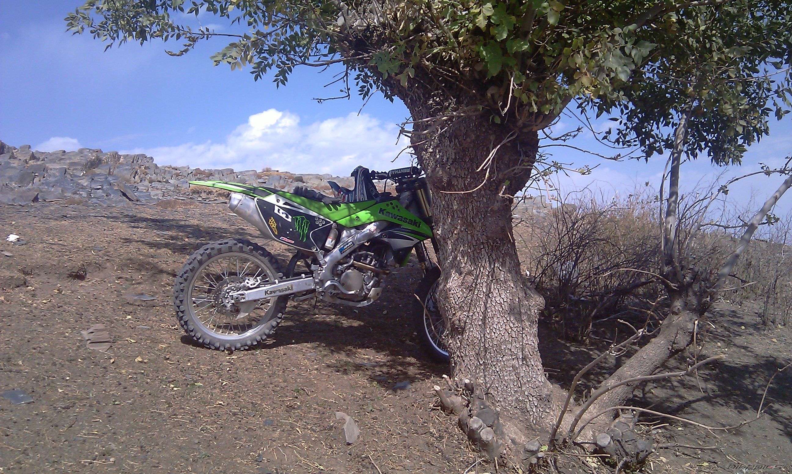 Photo 2337605