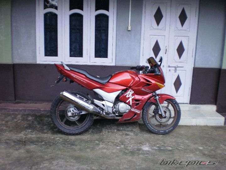 Photo 2337643