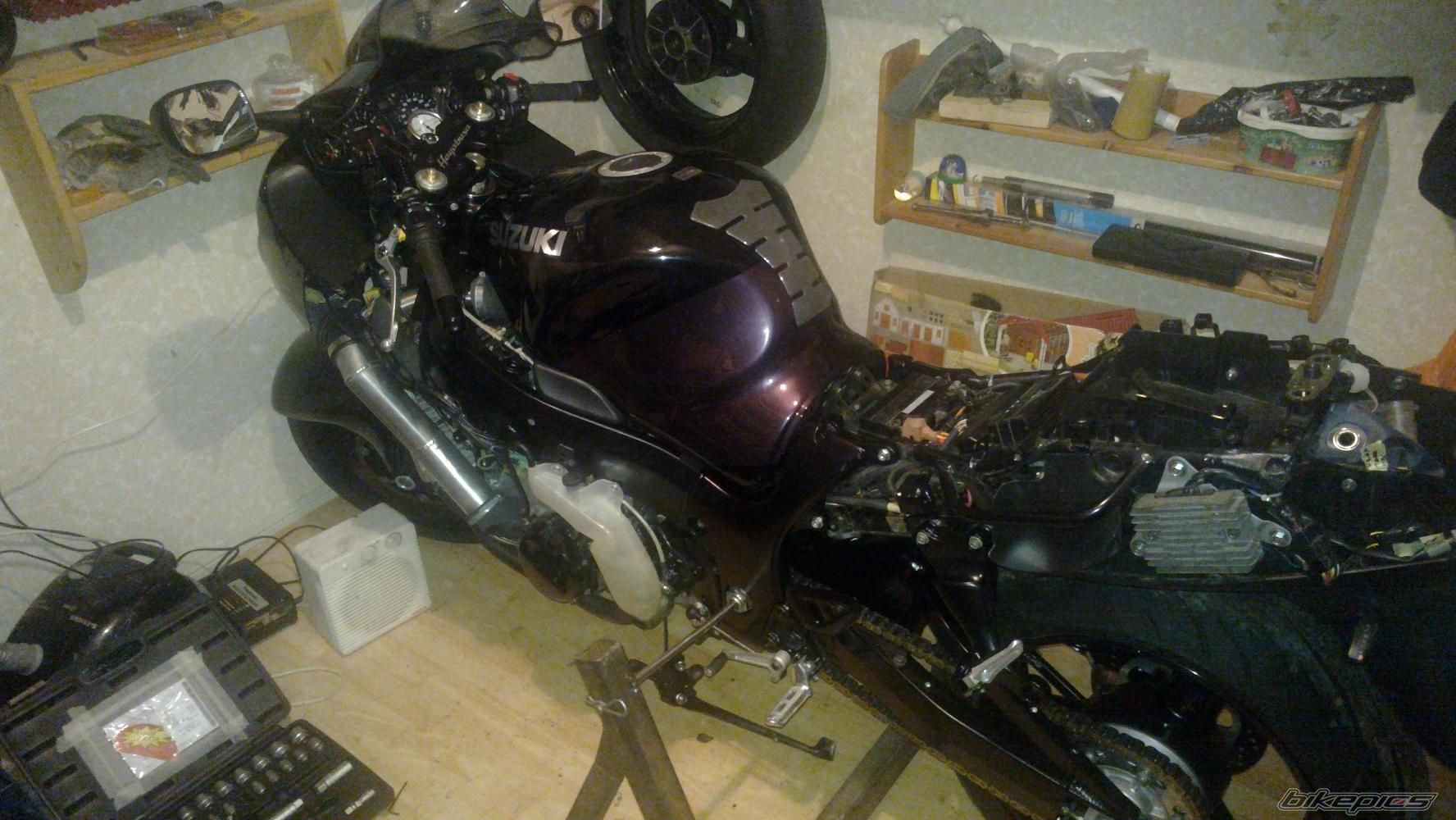 Photo 2337662