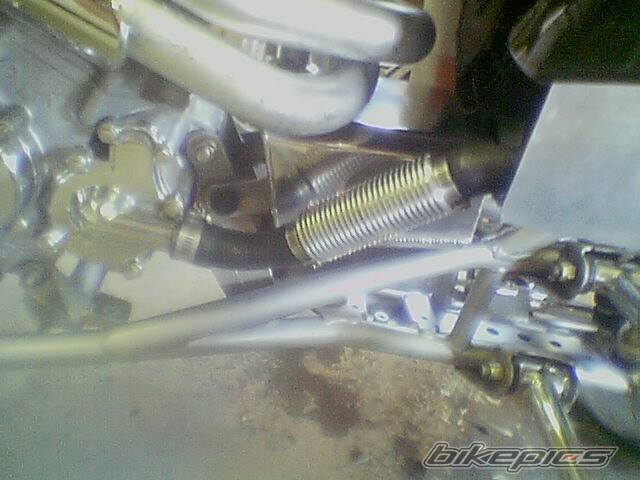 Photo 233767