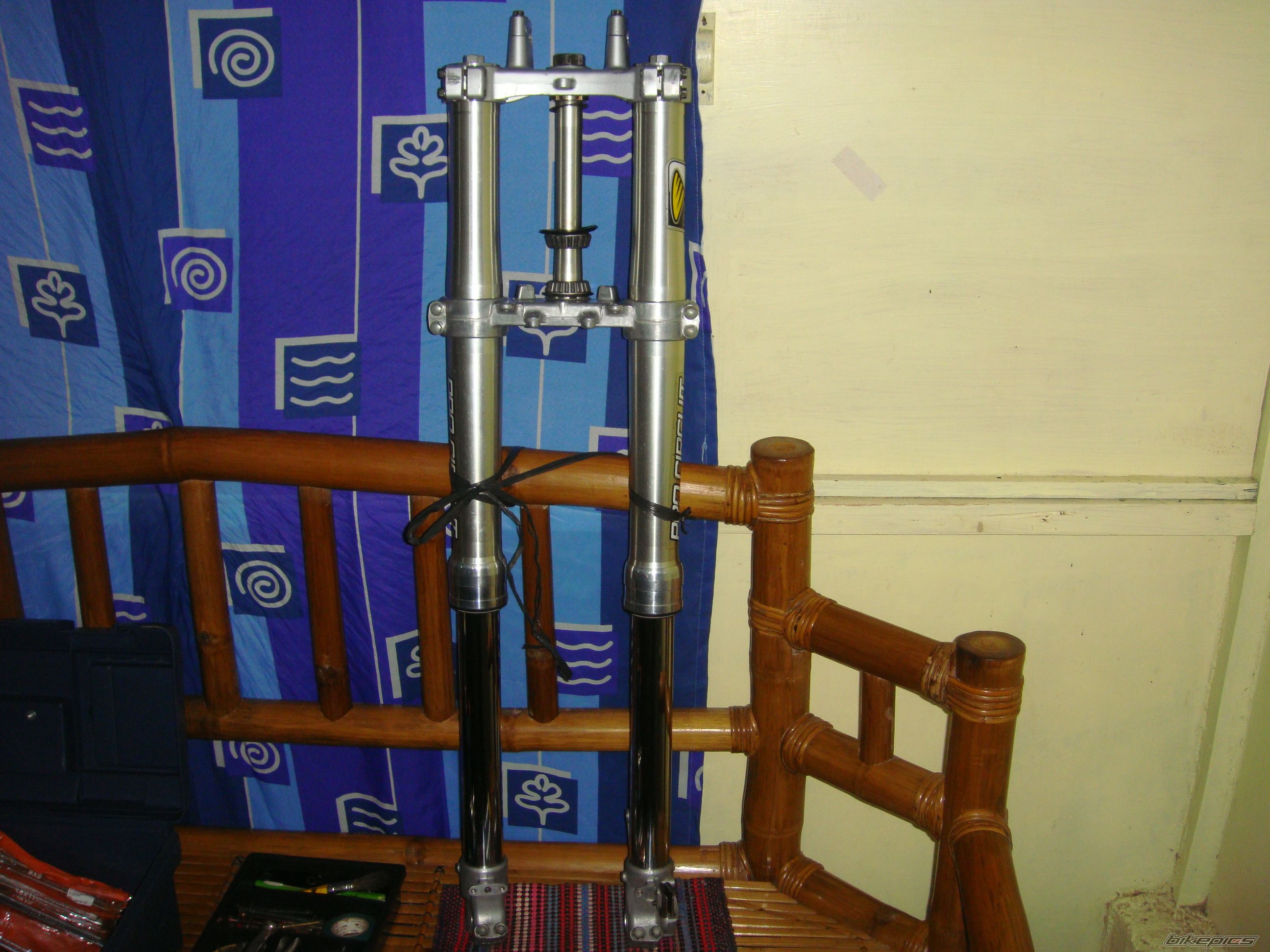 Photo 2337798