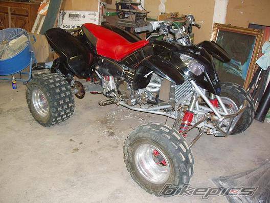 Photo 233784