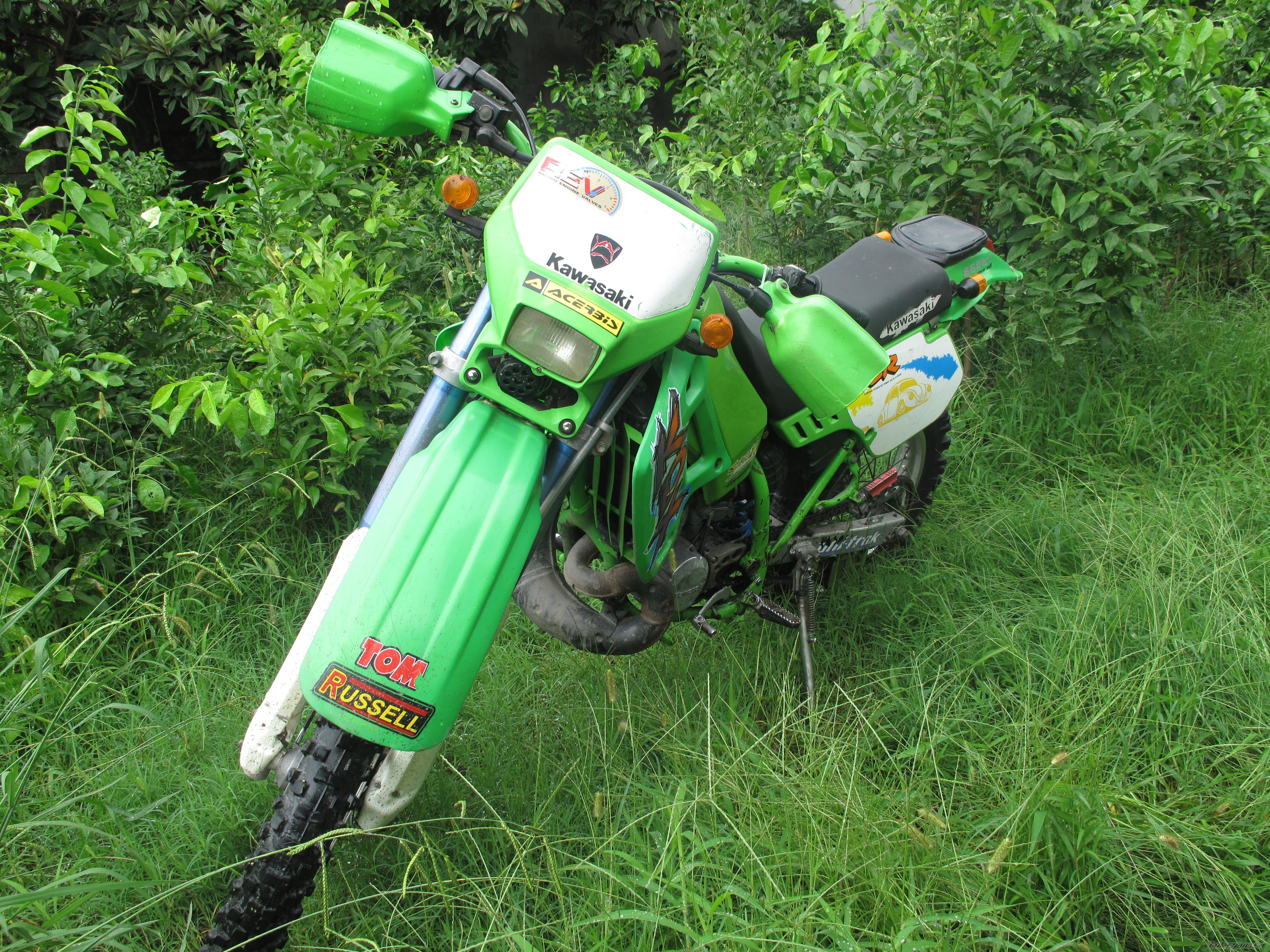 Photo 2337921