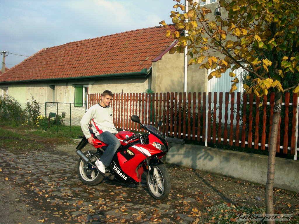 Photo 233793