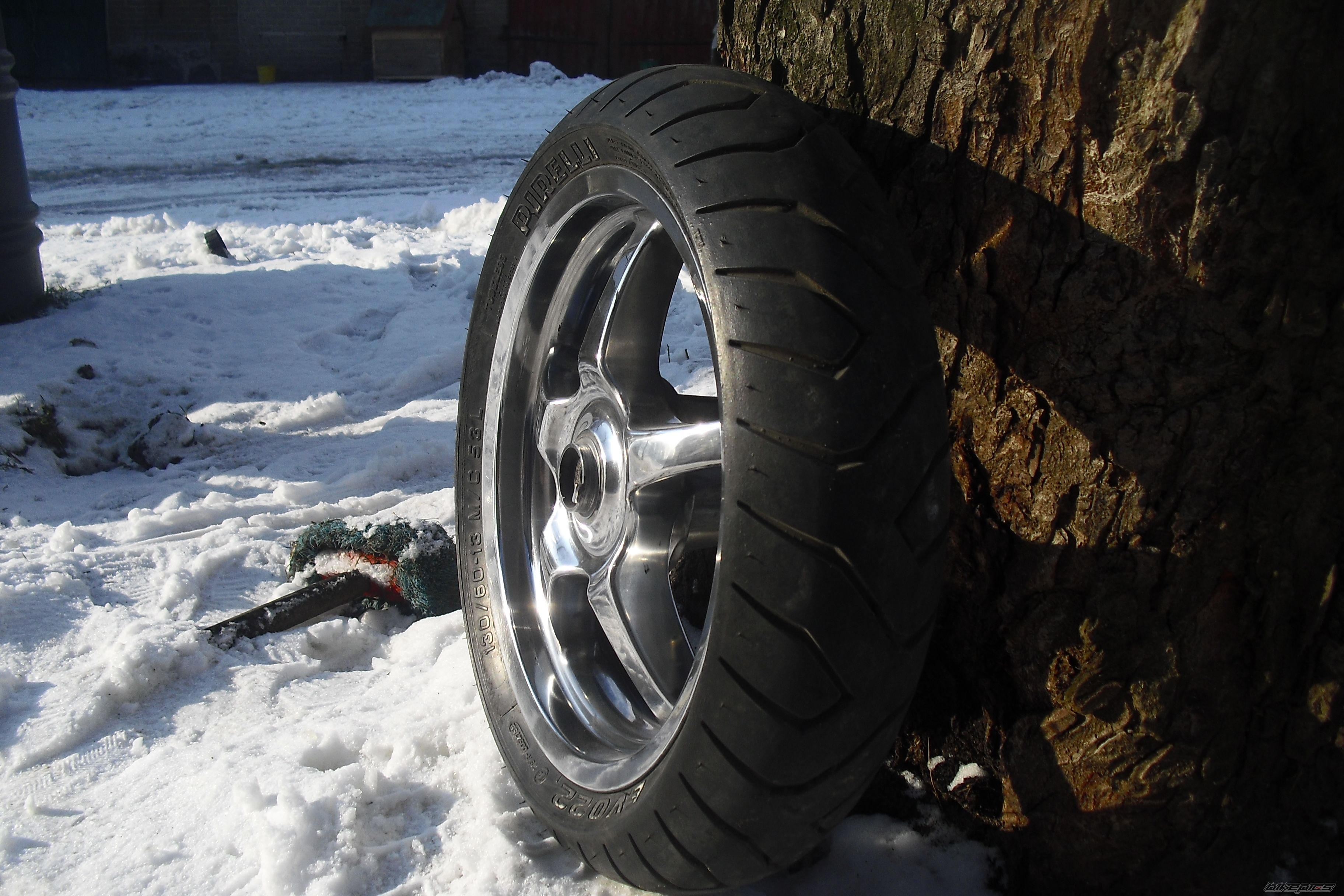 Photo 2337981