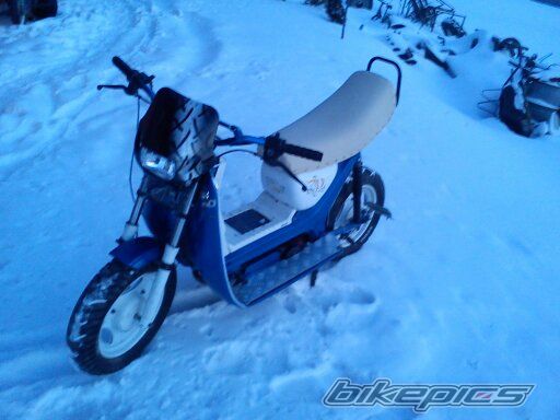 Photo 2338123