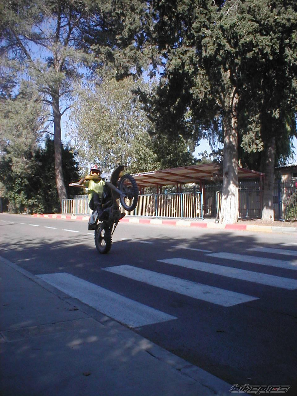 Photo 233814