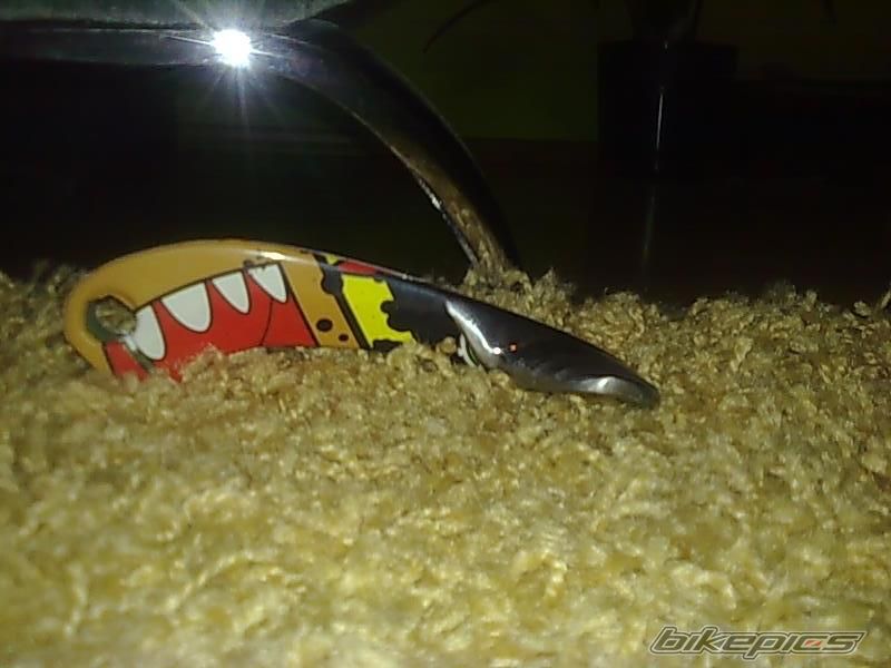 Photo 2338146