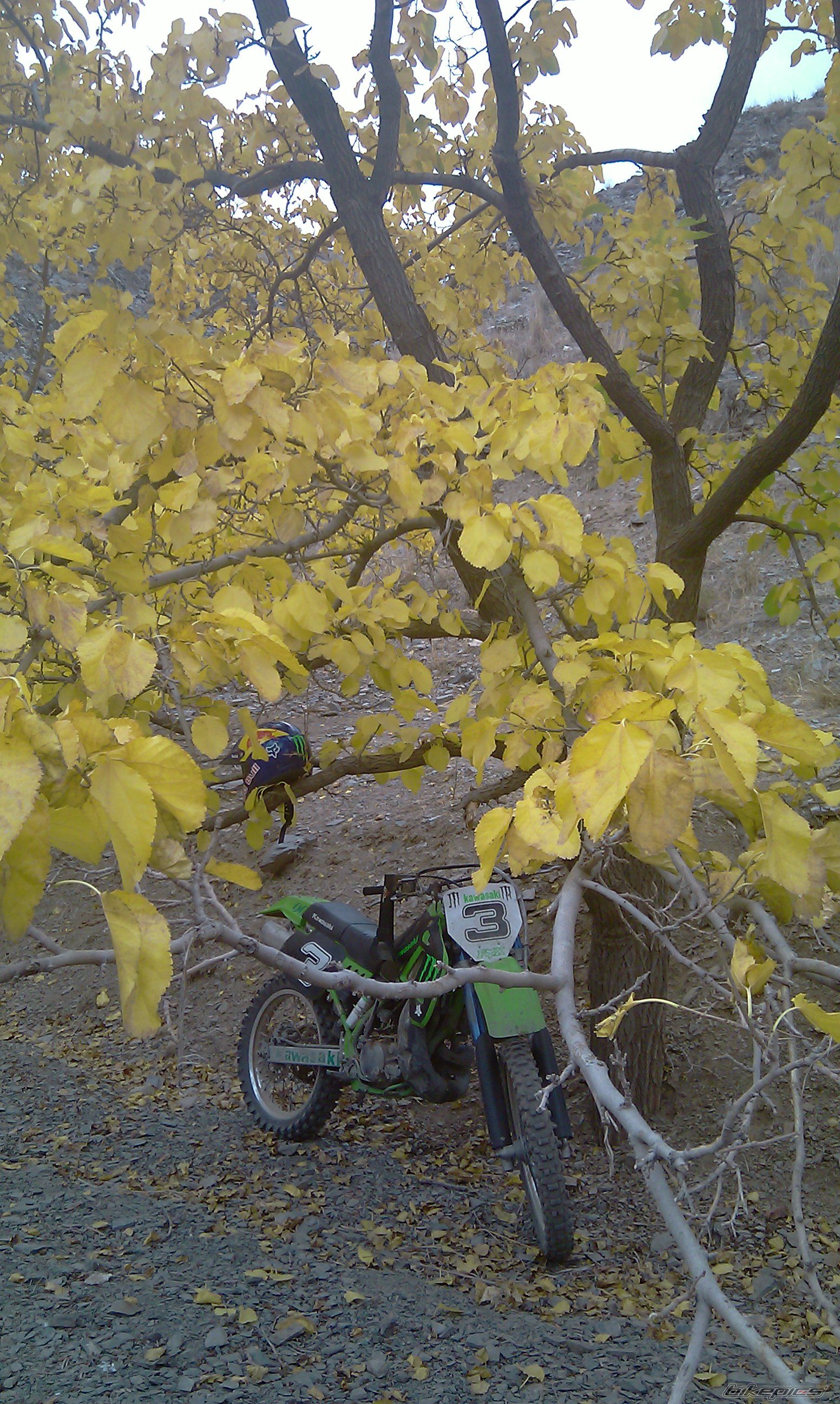 Photo 2338156