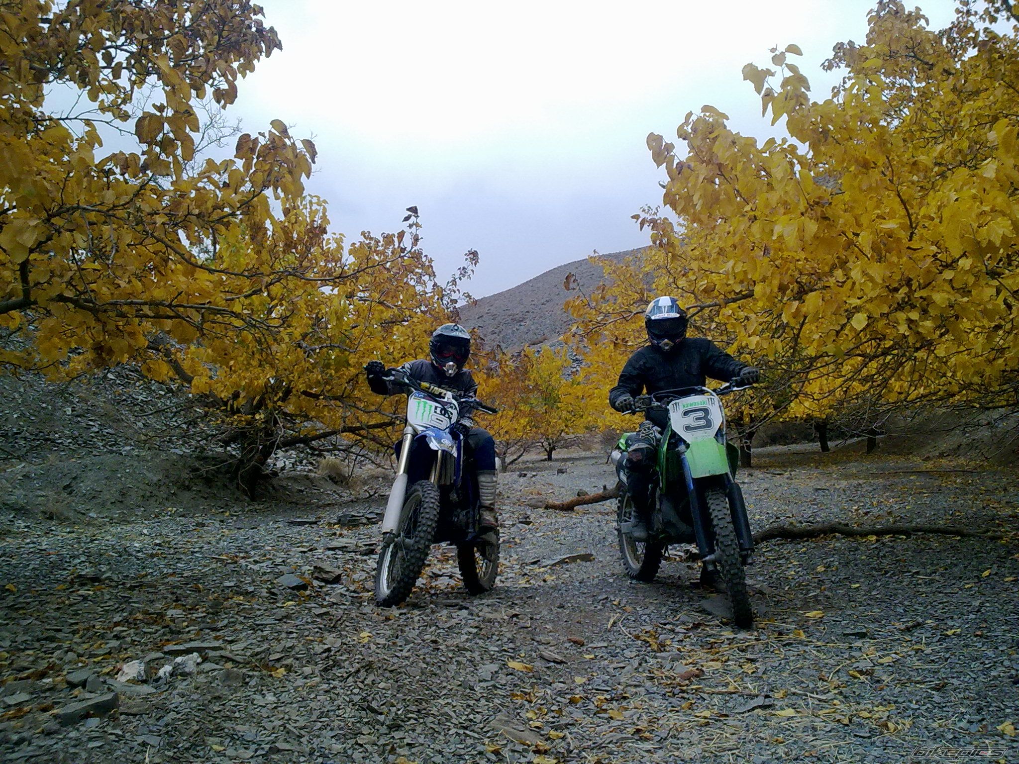 Photo 2338158