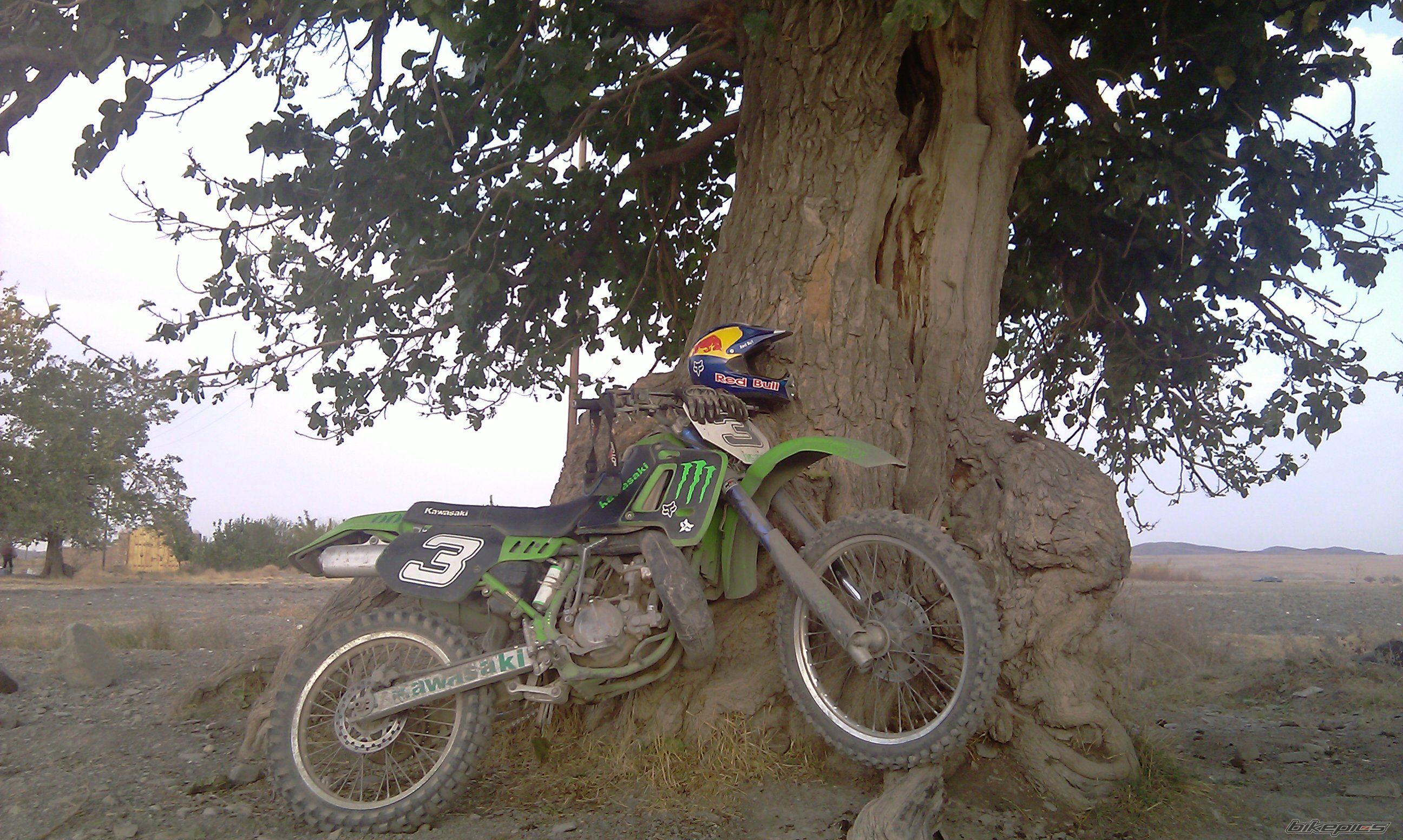 Photo 2338162