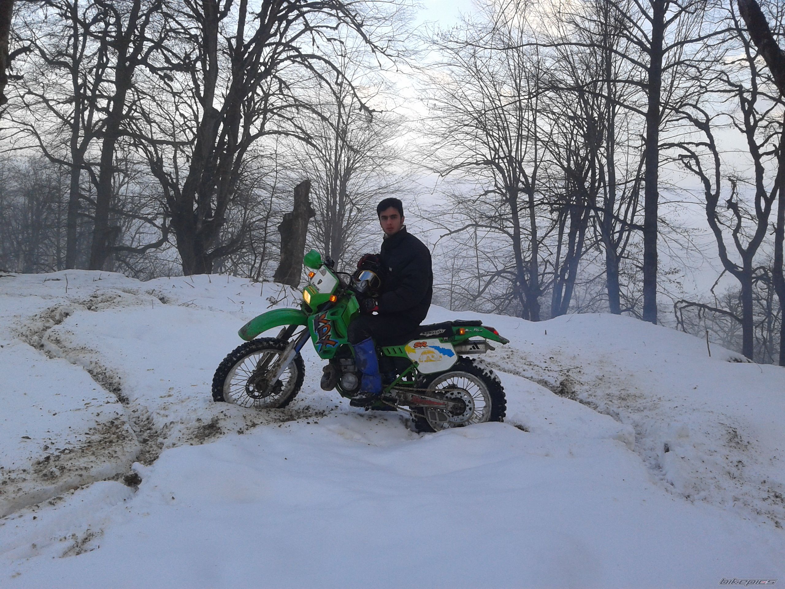 Photo 2338163