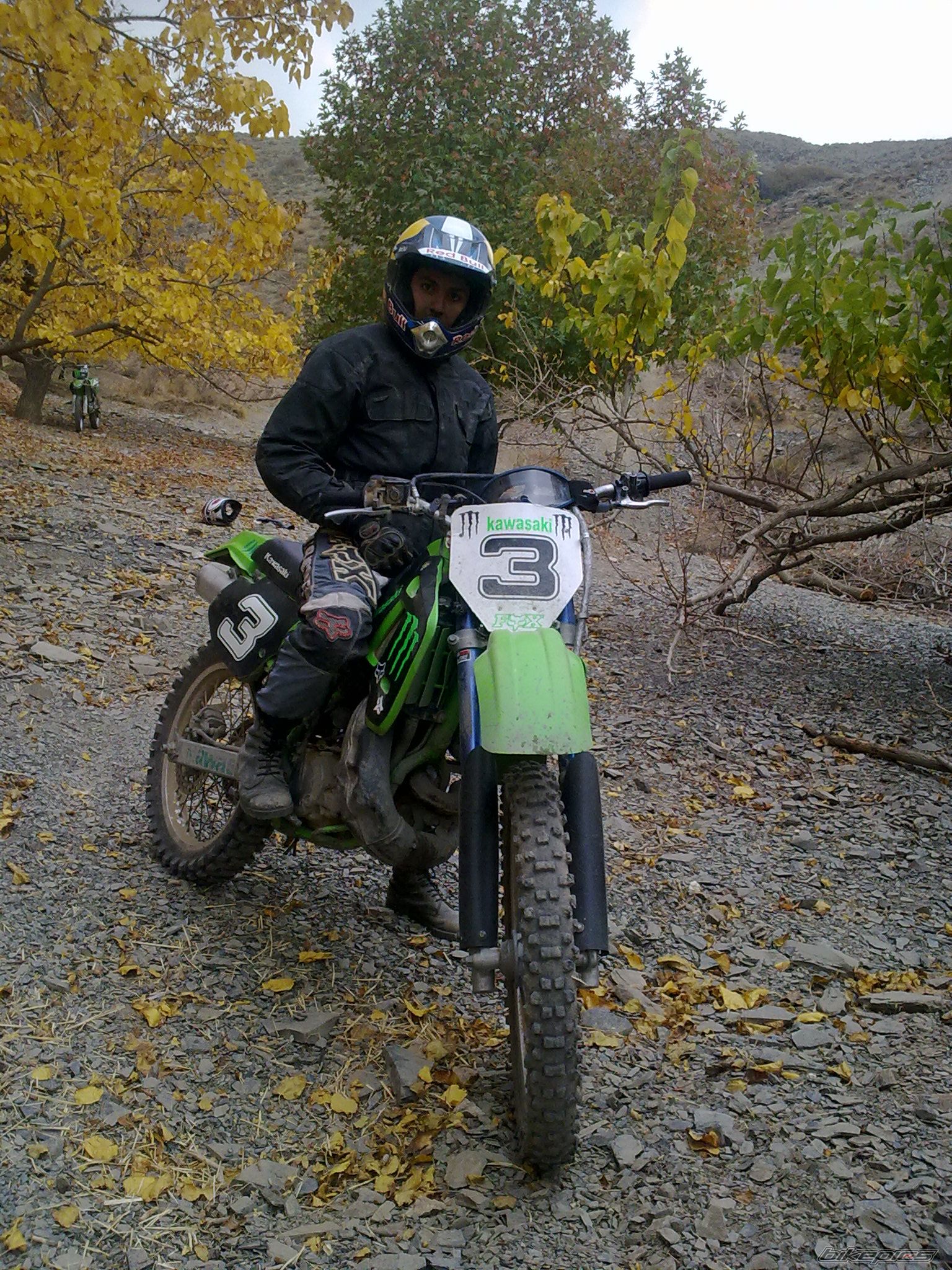 Photo 2338164