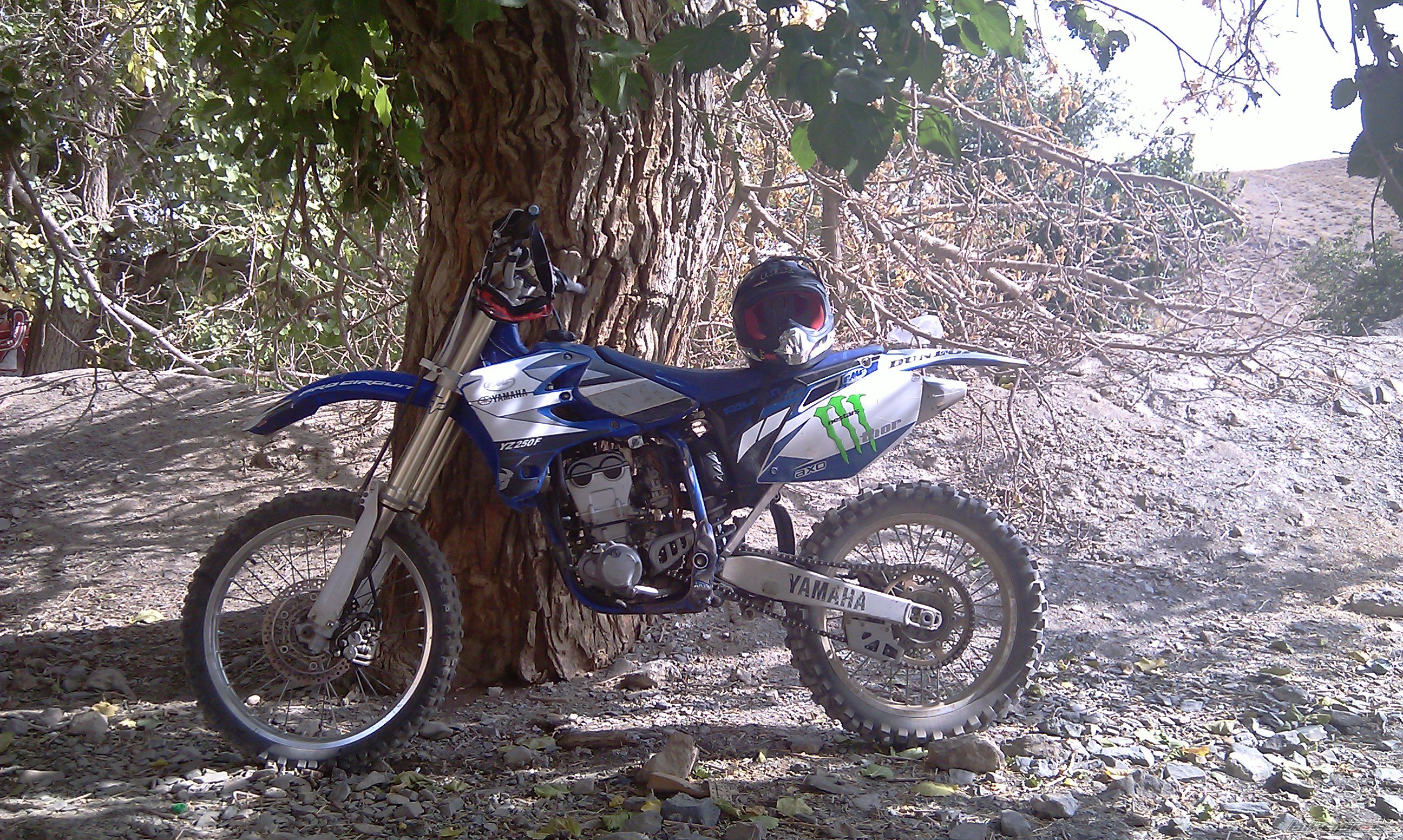 Photo 2338167