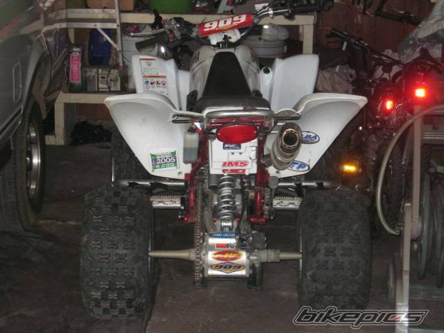 Photo 233818