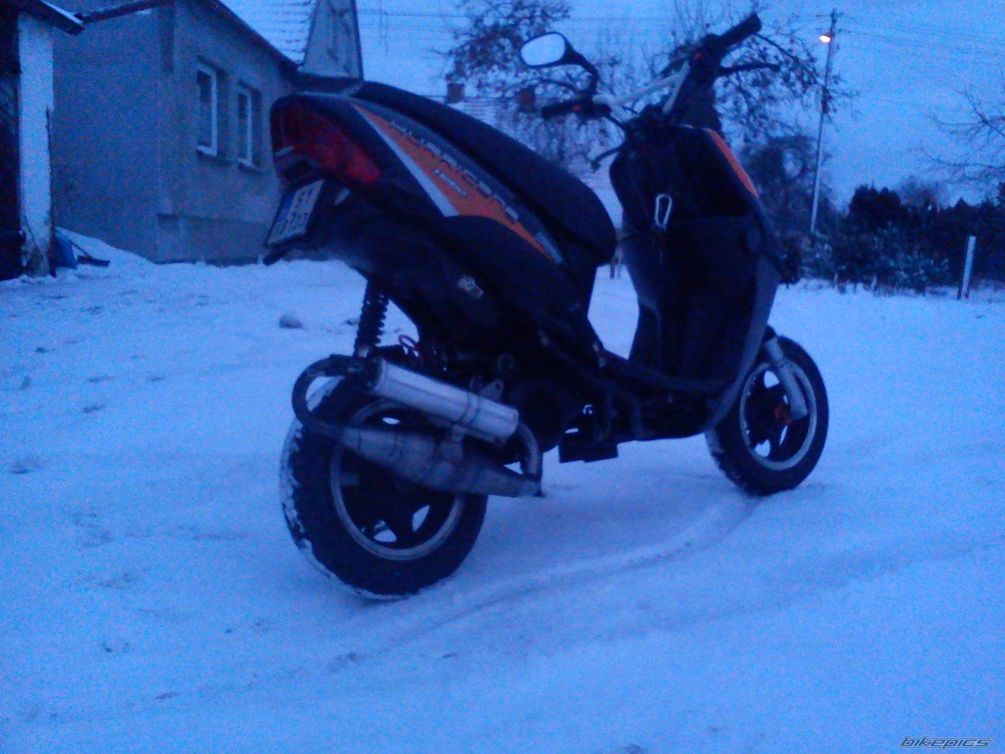 Photo 2338190
