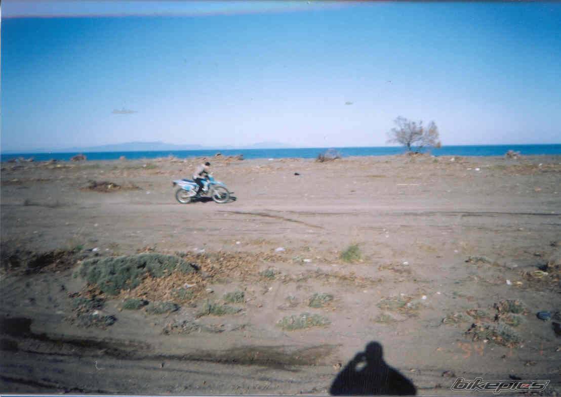 Photo 23382