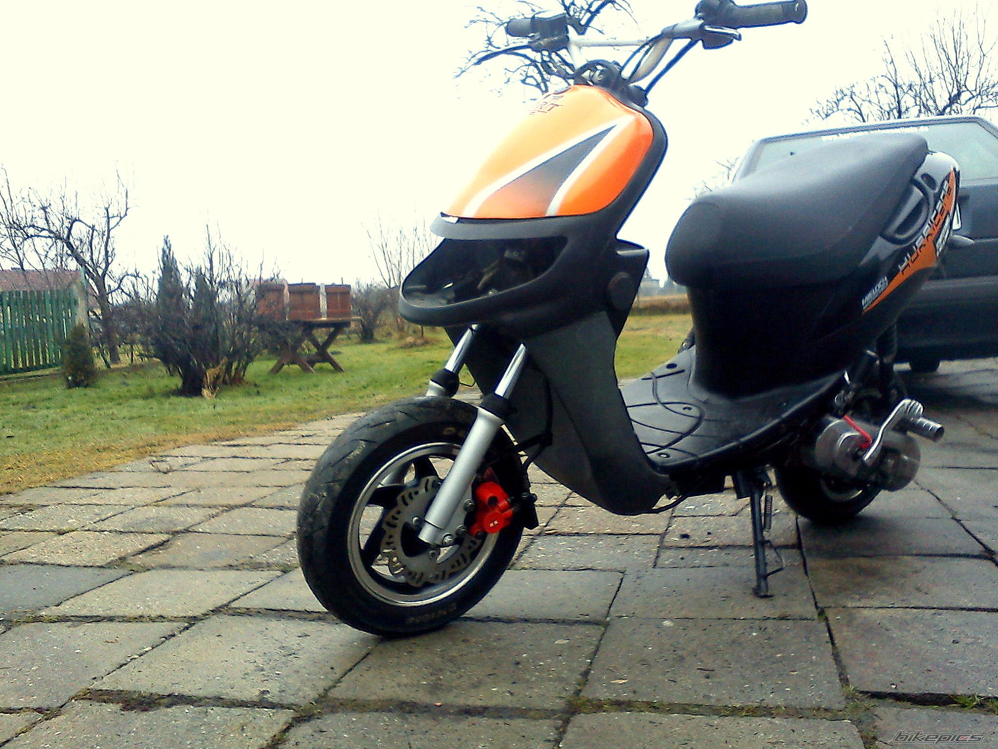 Photo 2338203