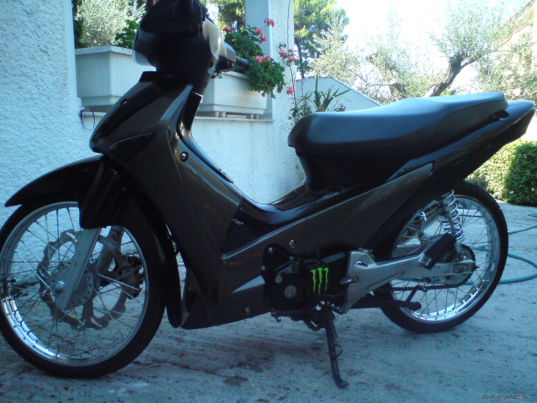 Photo 2338236