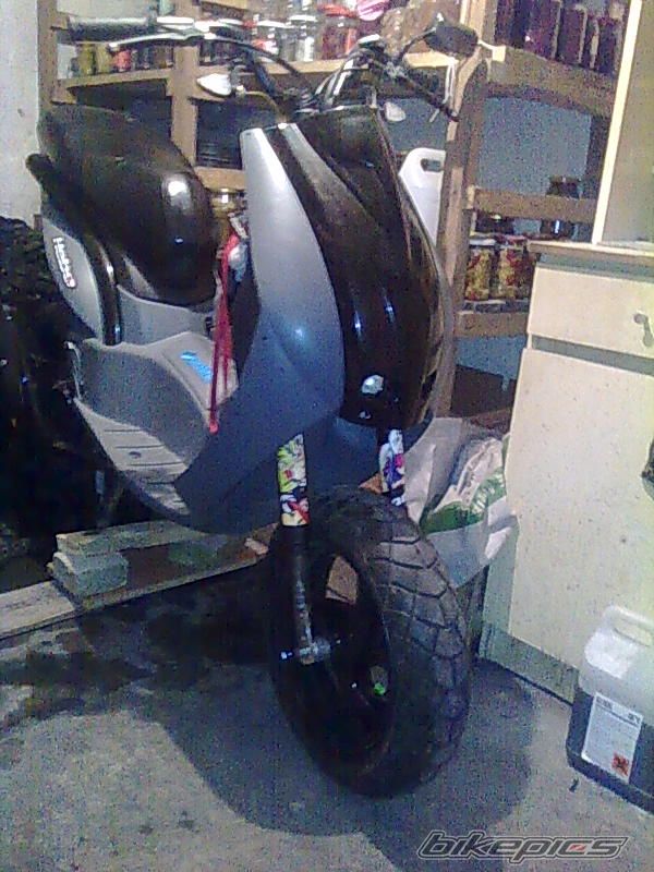 Photo 2338336