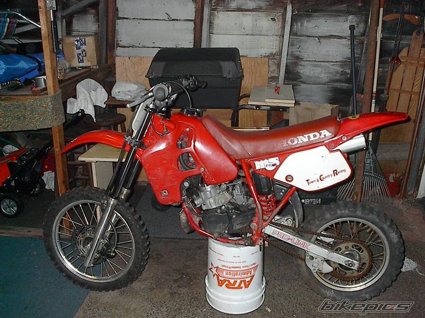 Photo 233839