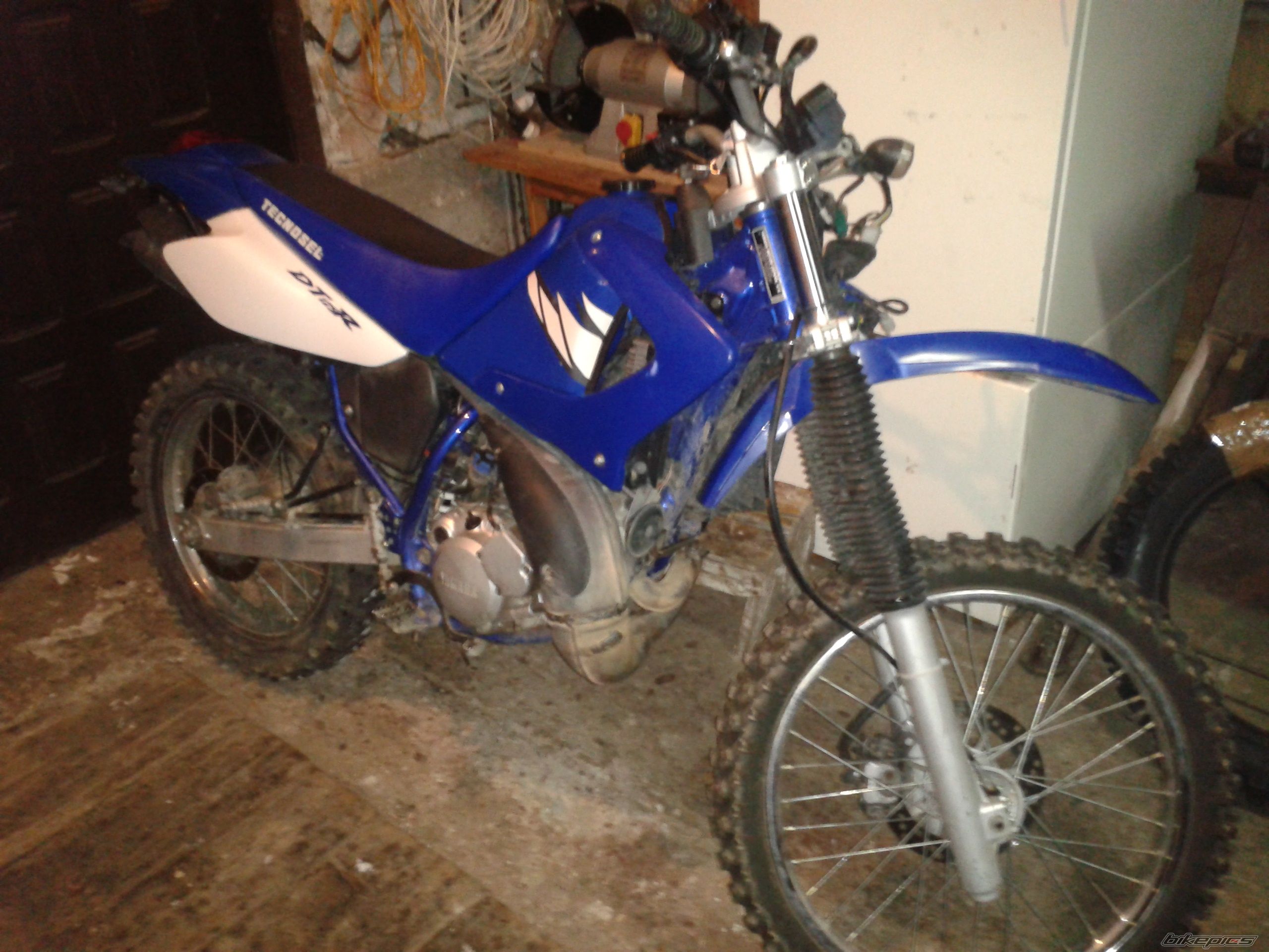 Photo 2338392