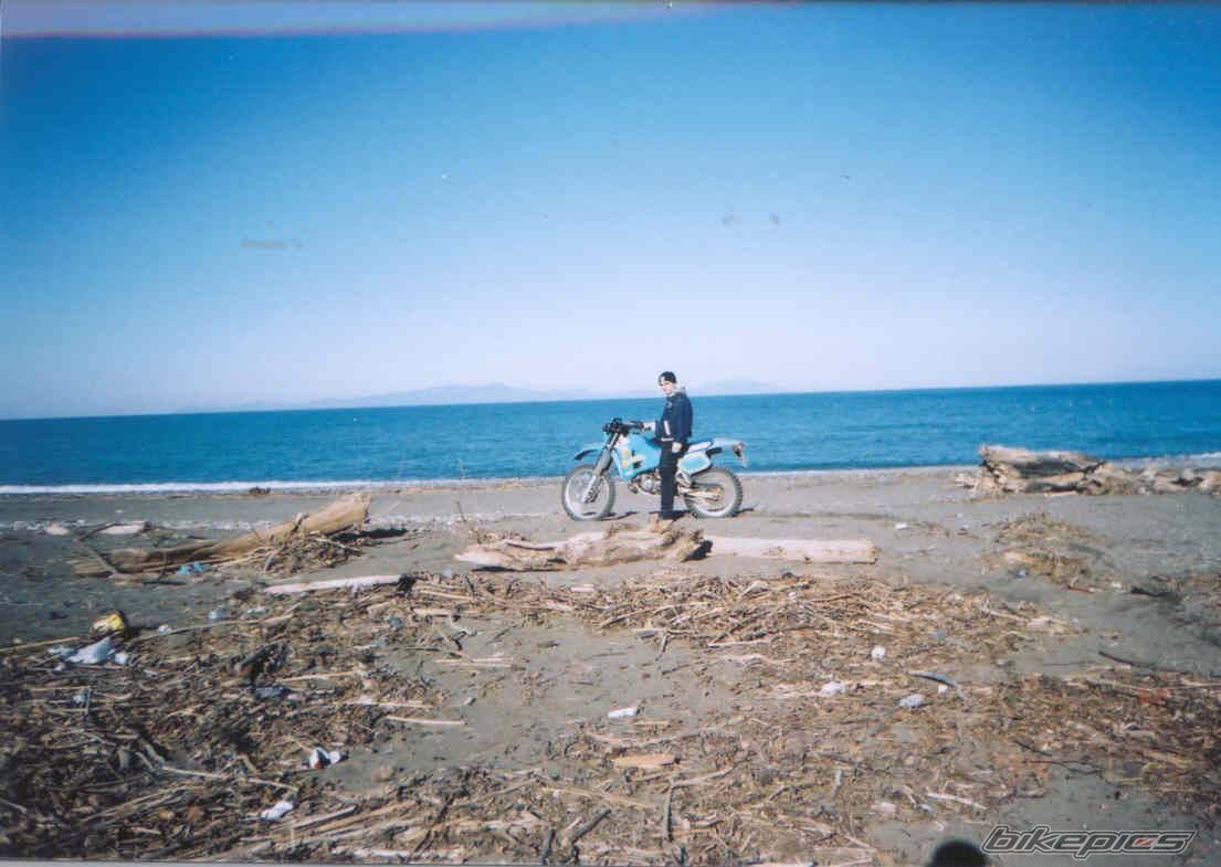 Photo 23384