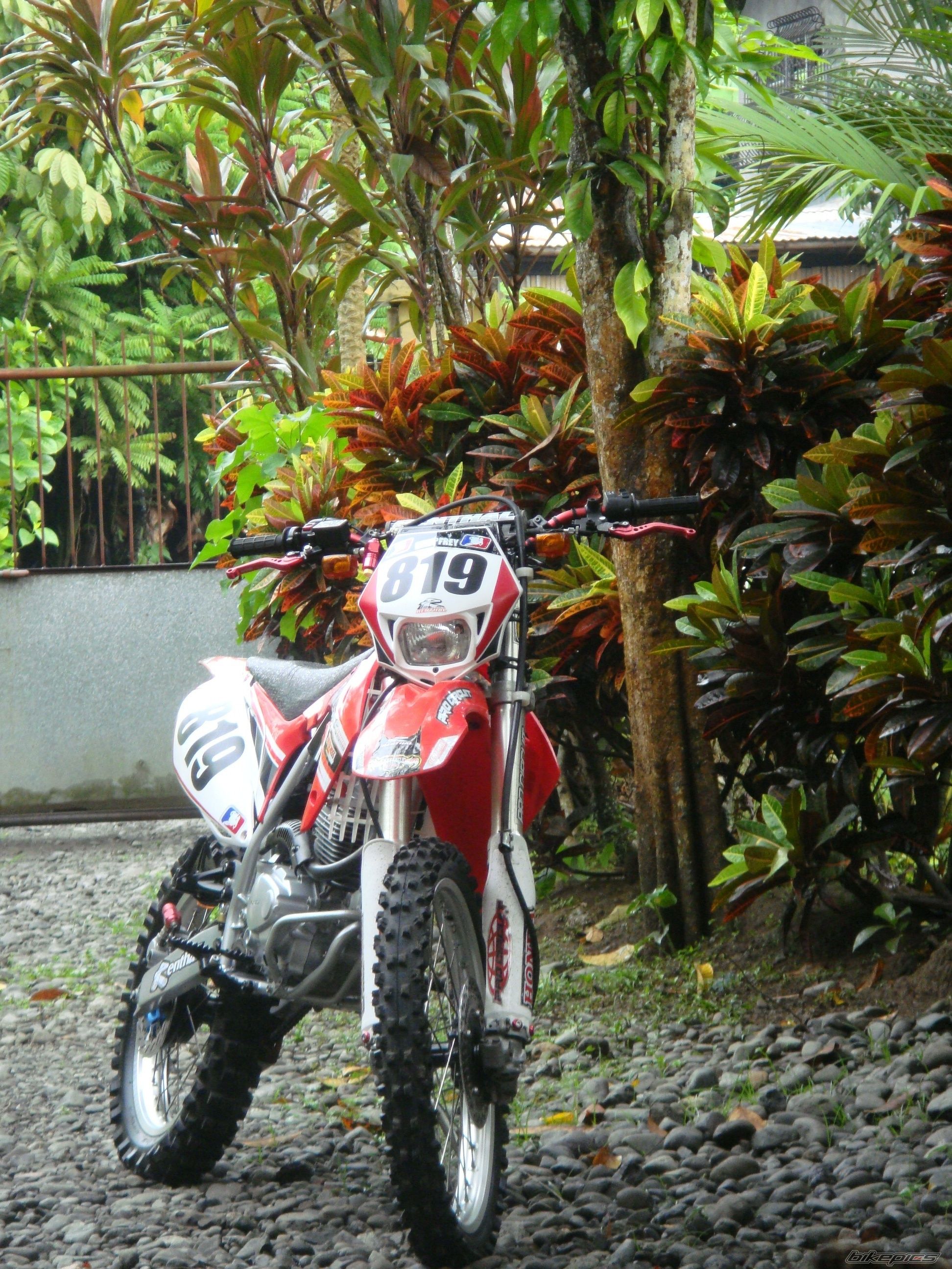 Photo 2338403