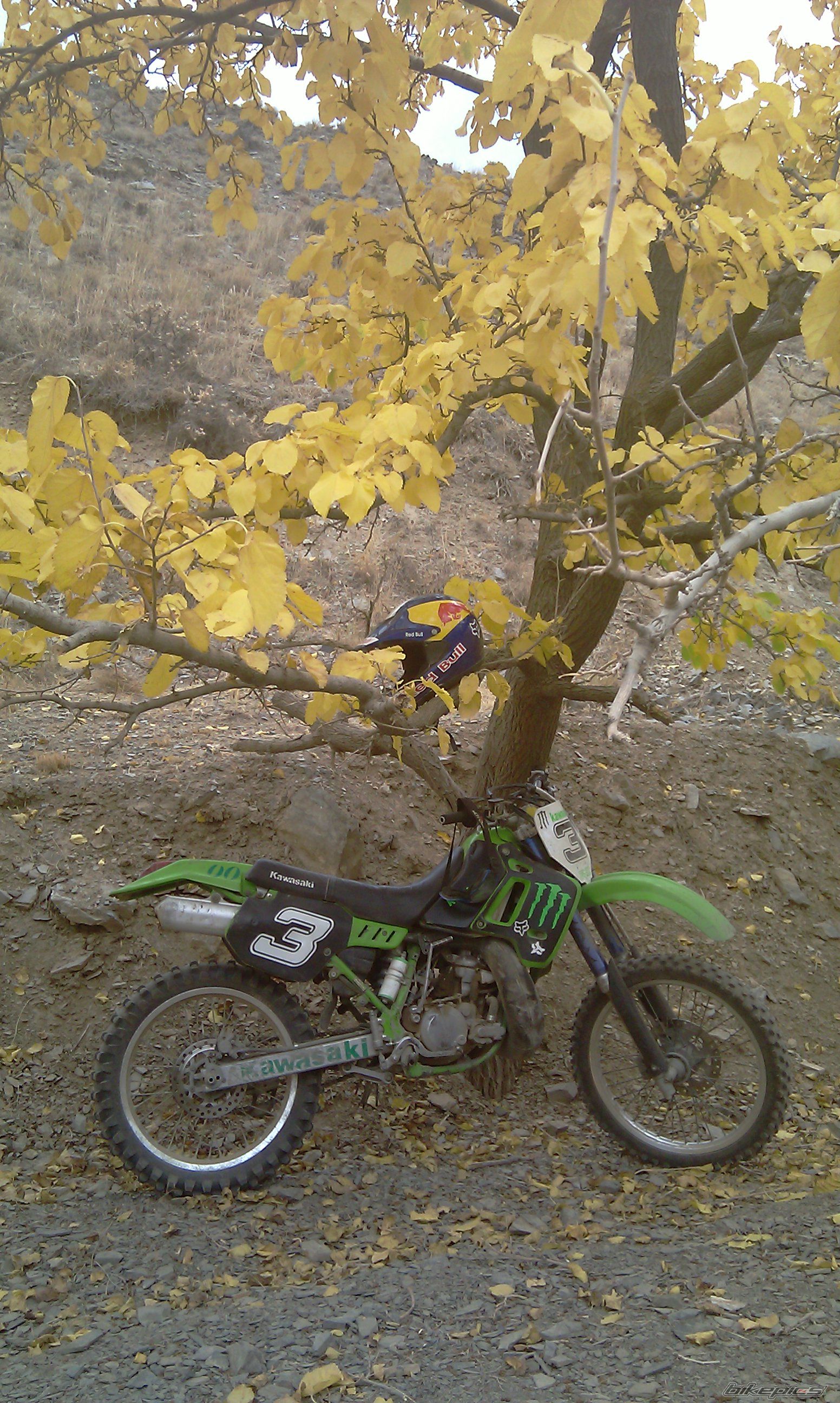 Photo 2338446