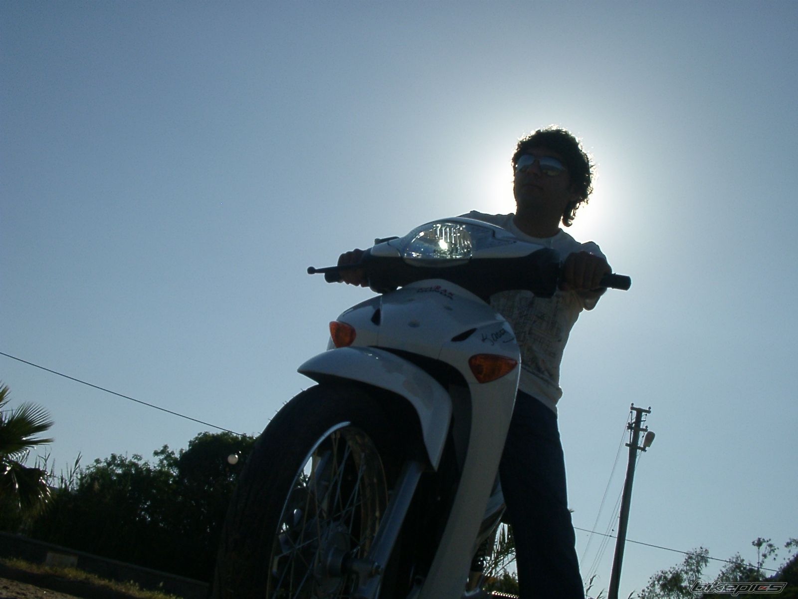 Photo 2338447