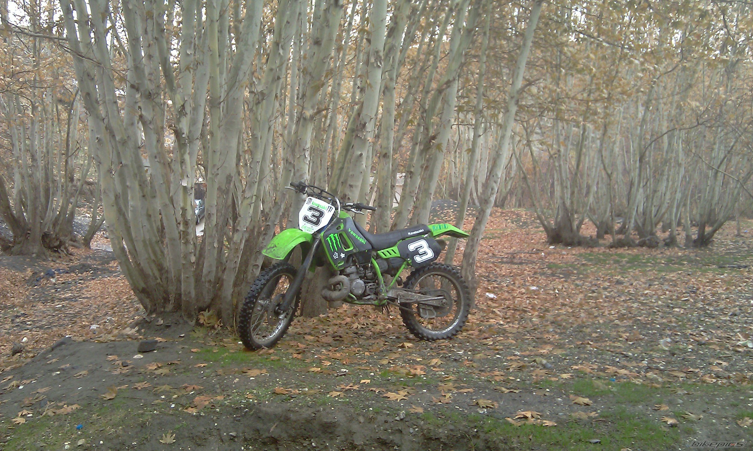 Photo 2338449