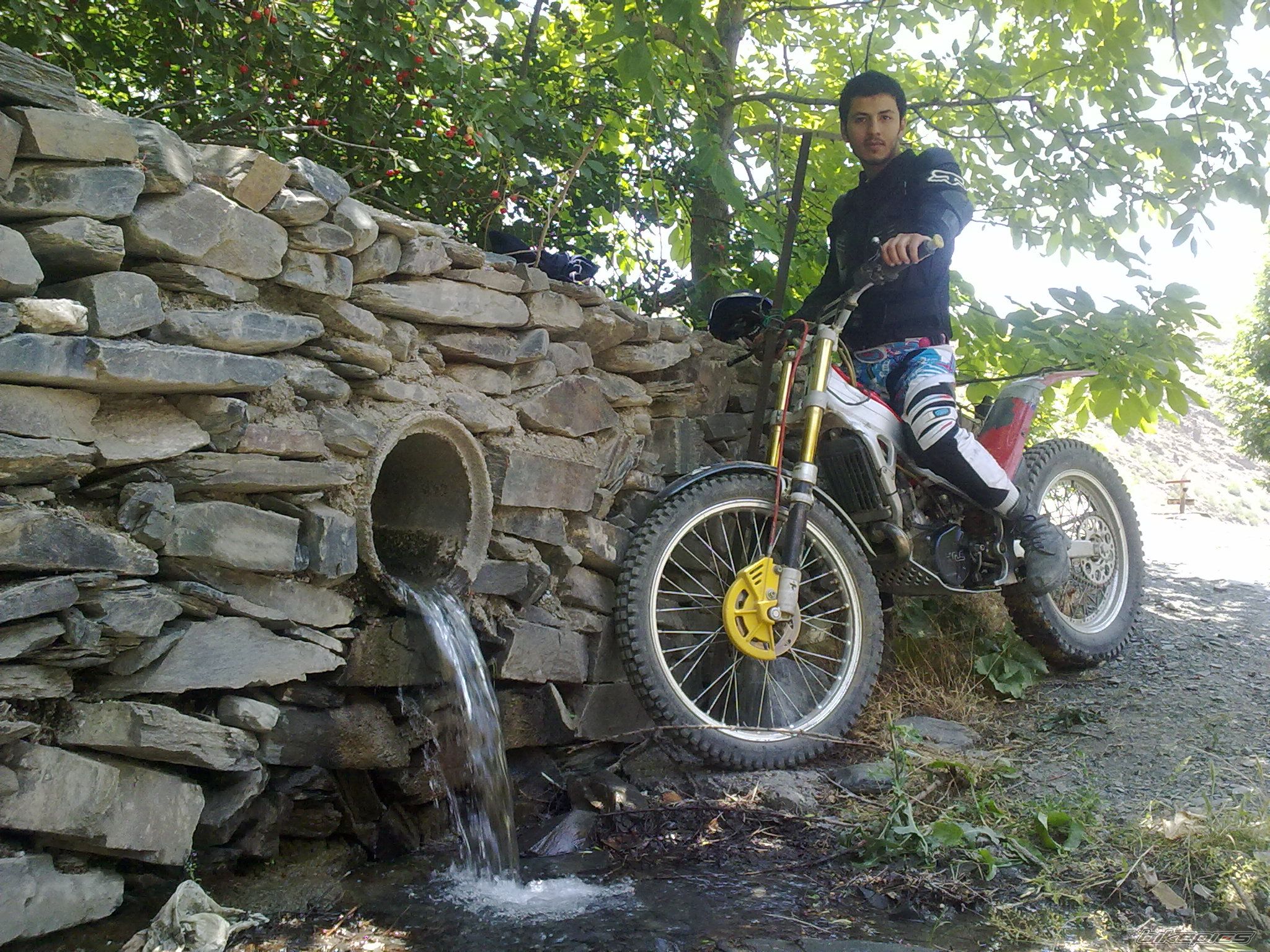 Photo 2338455