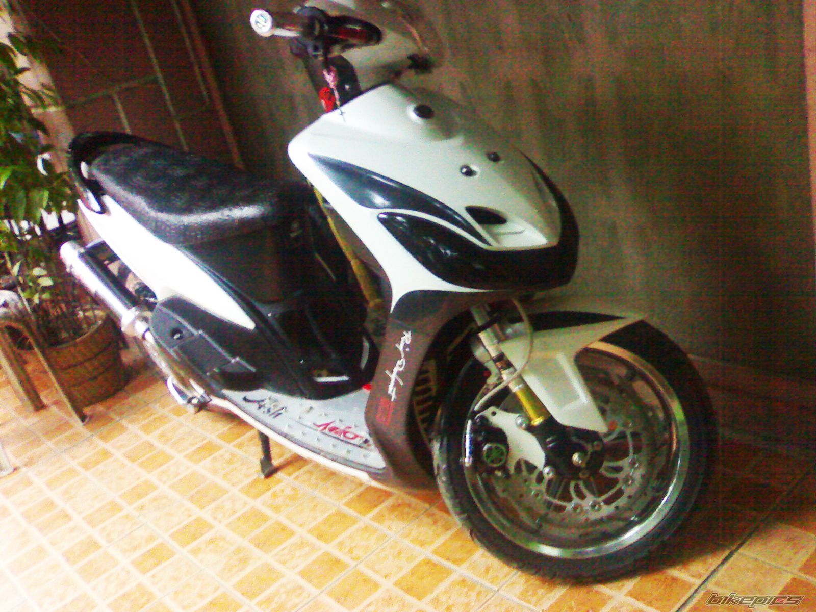 Photo 2338457
